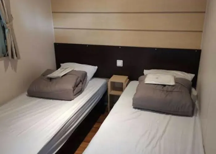 Lux Kamp alanı *